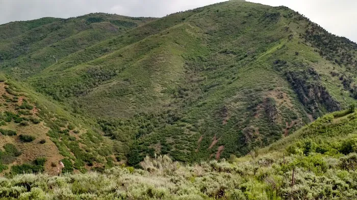 Buck Hollow Picture 4