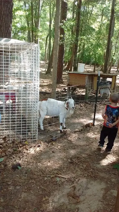 Sweetwater Valley Park Picture 10