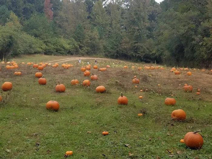 Sweetwater Valley Park Picture 8