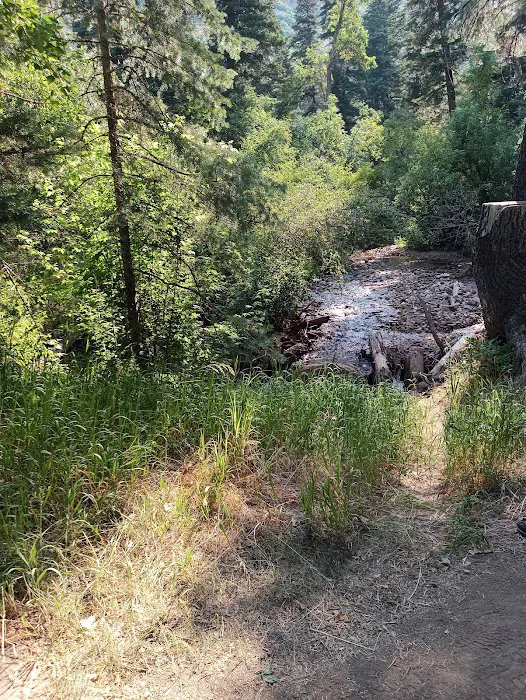 Balsam Campground Picture 5