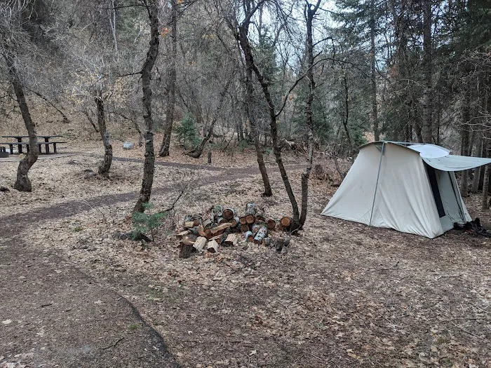 Balsam Campground Picture 4