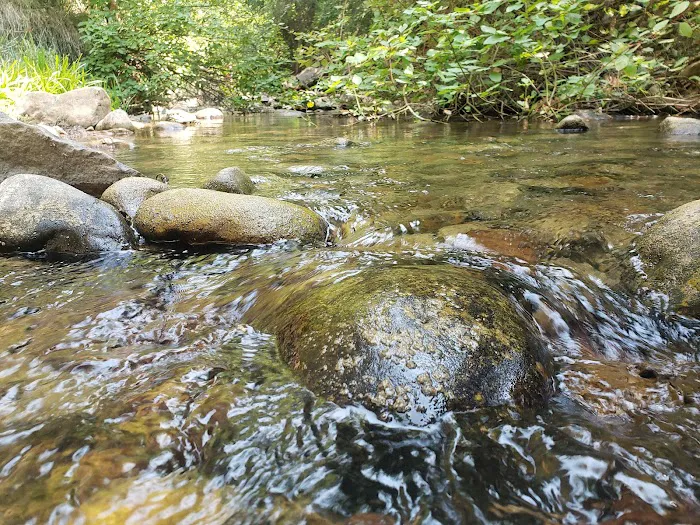 Balsam Campground Picture 2