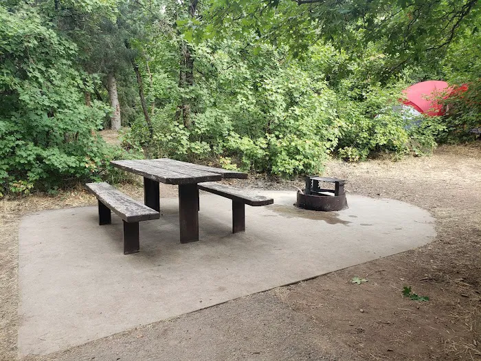 Balsam Campground Picture 7