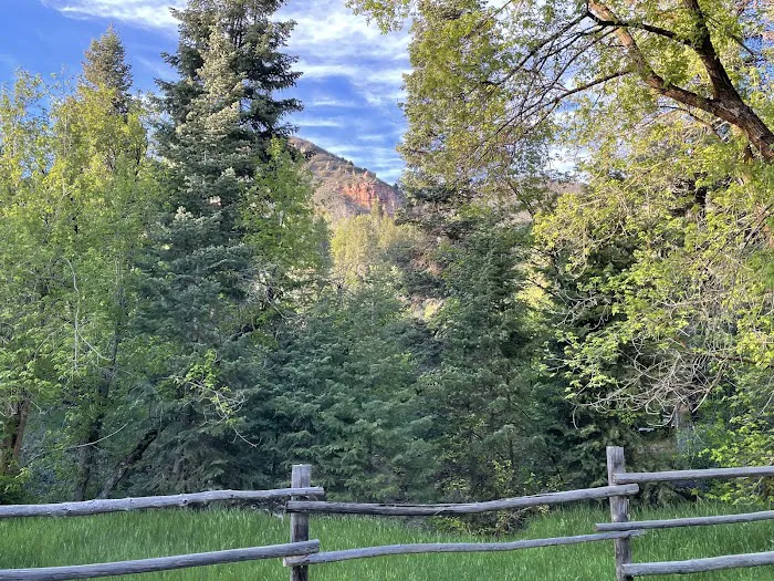 Balsam Campground Picture 8