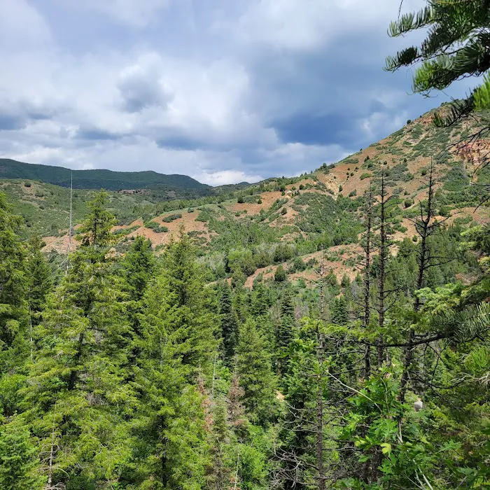 Balsam Campground Picture 9