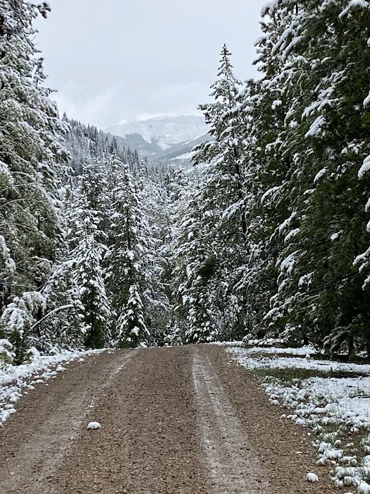 Zions Peak Recreation Camp Picture 8