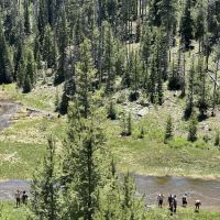 Zions Peak Recreation Camp ico