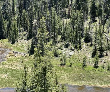 Zions Peak Recreation Camp