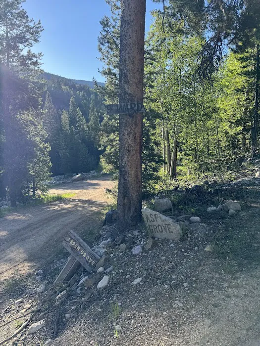 Zions Peak Recreation Camp Picture 7