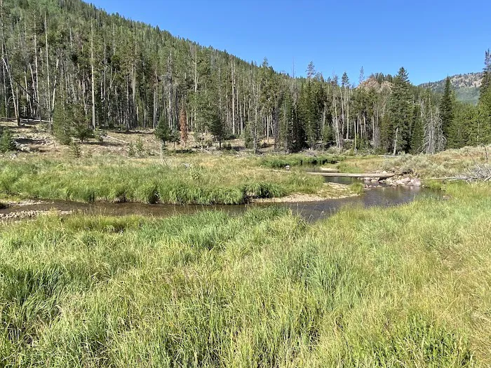 Zions Peak Recreation Camp Picture 9