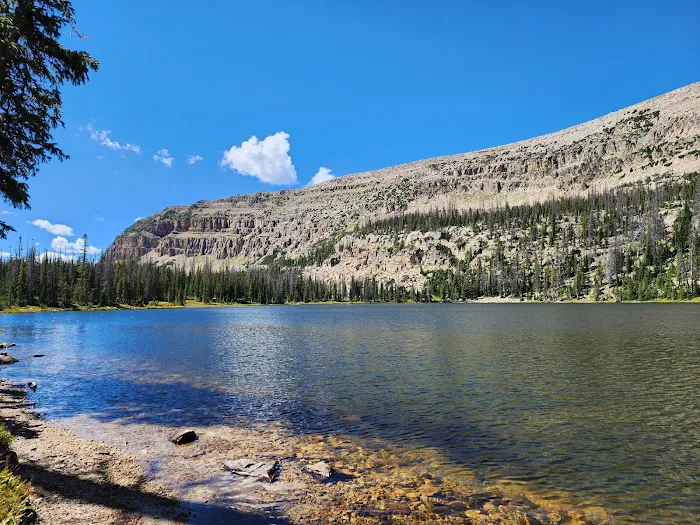 Washington Lake Campground Picture 1