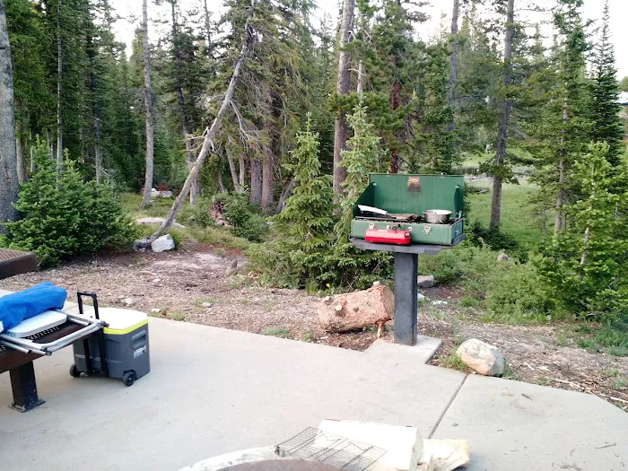 Washington Lake Campground Picture 8