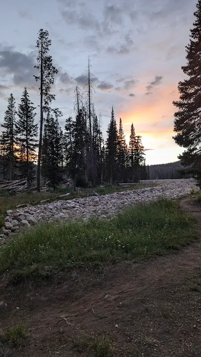 Washington Lake Campground Picture 2