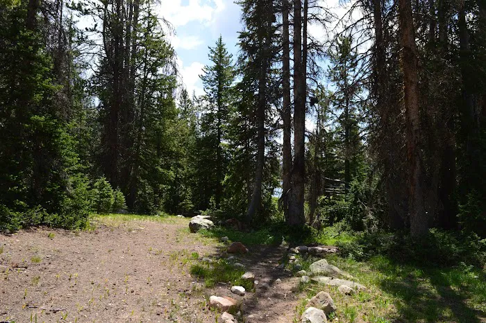 Washington Lake Campground Picture 7