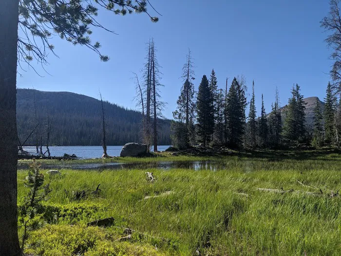 Washington Lake Campground Picture 5