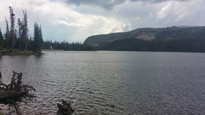 Washington Lake Campground Picture 4