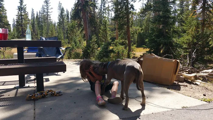 Washington Lake Campground Picture 10