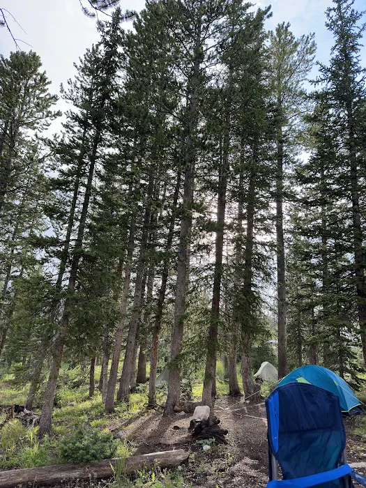 Washington Lake Group Campsites Picture 10