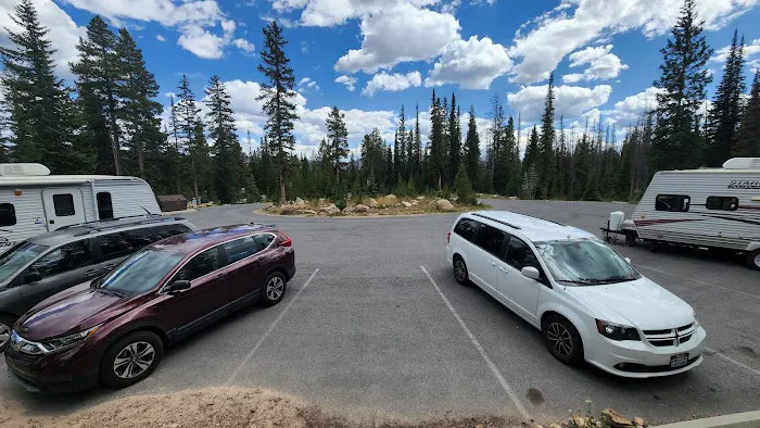 Washington Lake Group Campsites Picture 1