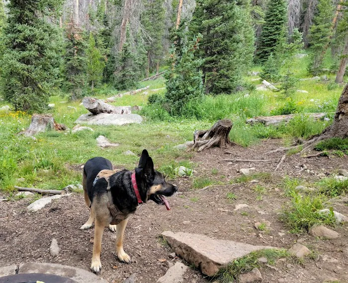 Trial Lake Campground Picture 1