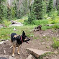 Trial Lake Campground ico