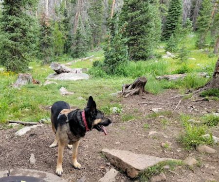 Trial Lake Campground