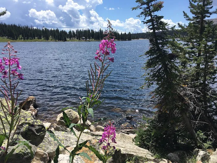 Trial Lake Campground Picture 8