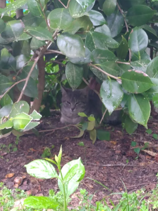 Whispering Pines Mobile Home Picture 1