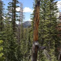 Lilly Lake Campground ico