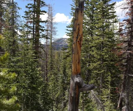 Lilly Lake Campground