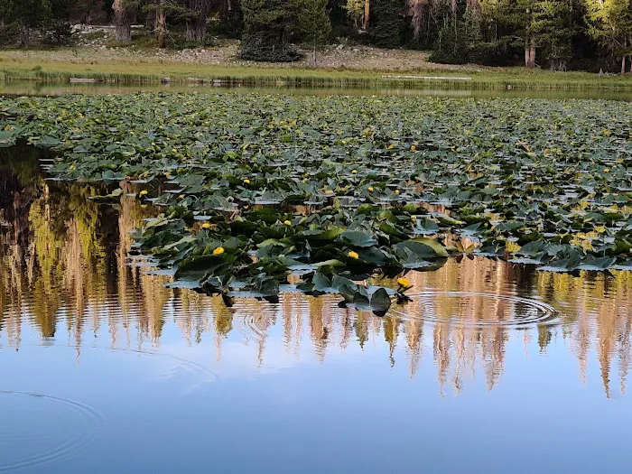 Lilly Lake Campground Picture 4