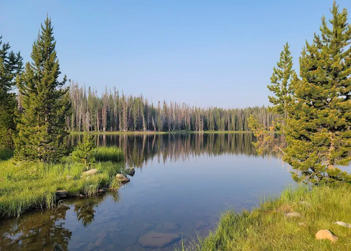 Lilly Lake Campground Picture 8