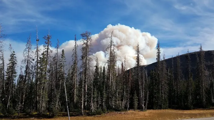 Lilly Lake Campground Picture 3
