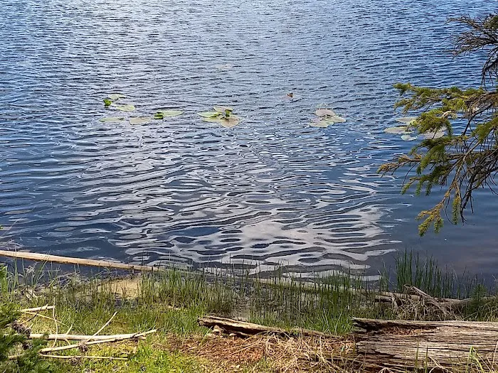 Lilly Lake Campground Picture 7