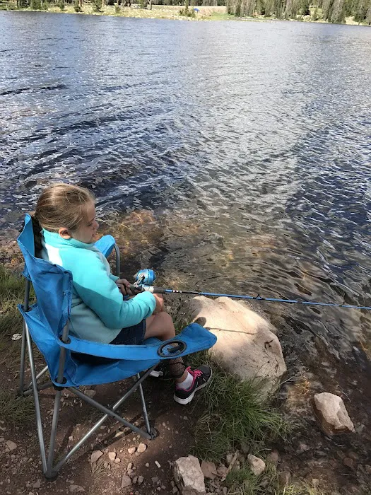 Lilly Lake Campground Picture 5