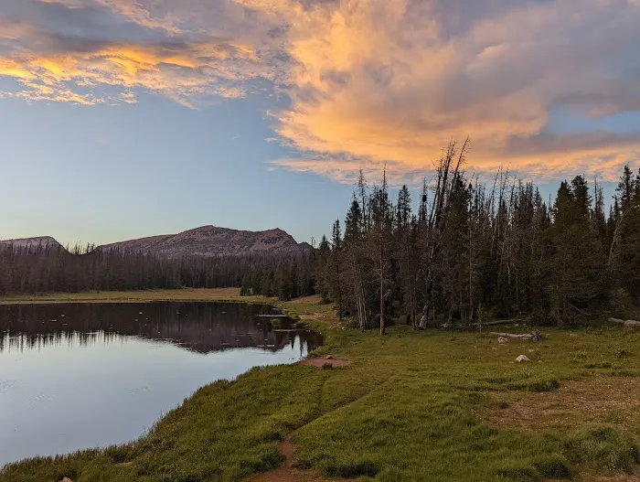 Lilly Lake Campground Picture 9