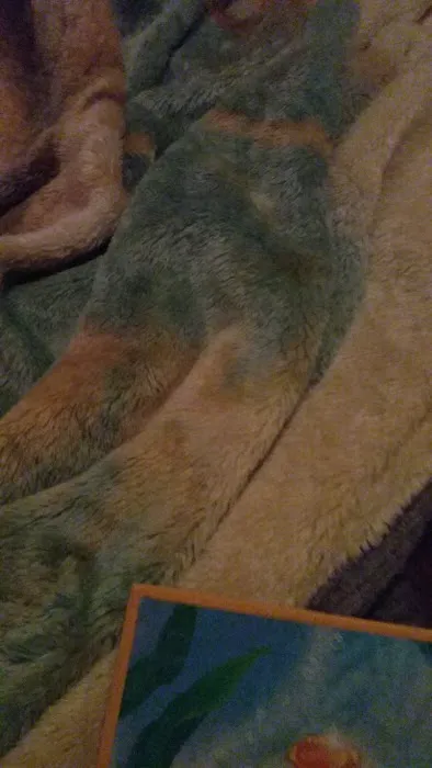 Hill-N-Dale Mobile Home Park Picture 4