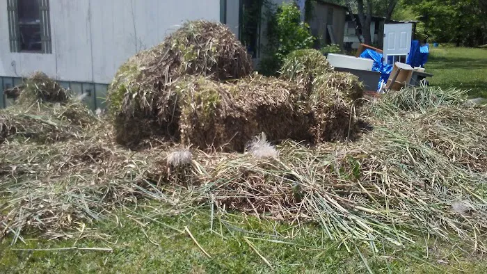 Hill-N-Dale Mobile Home Park Picture 3