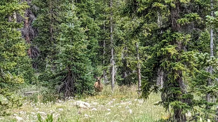 Lost Creek Campground Picture 5