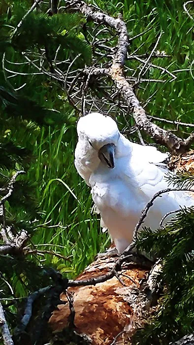 Lost Creek Campground Picture 7