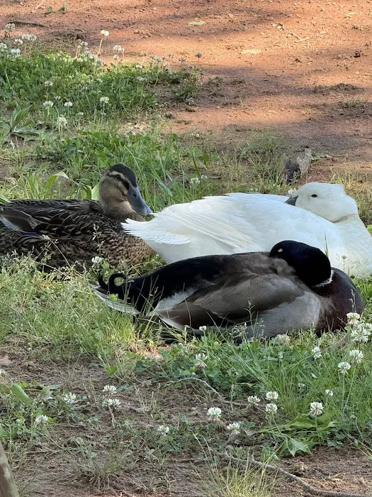 Heart of Georgia RV Park Picture 3