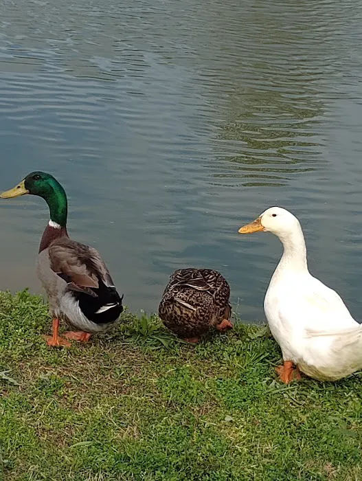 Heart of Georgia RV Park Picture 1