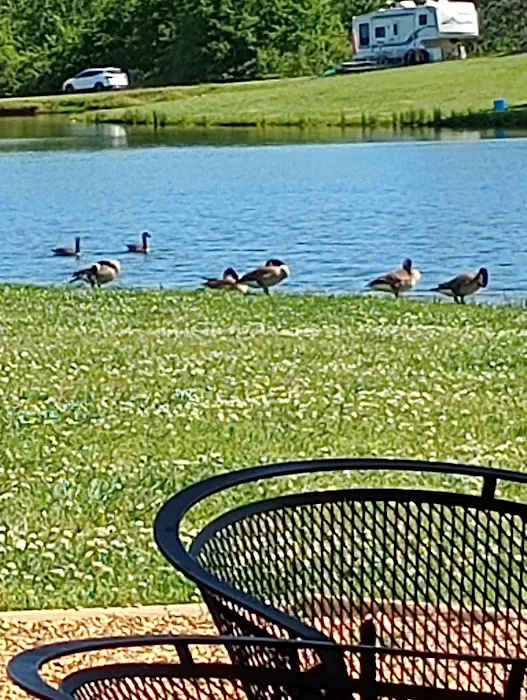 Heart of Georgia RV Park Picture 6