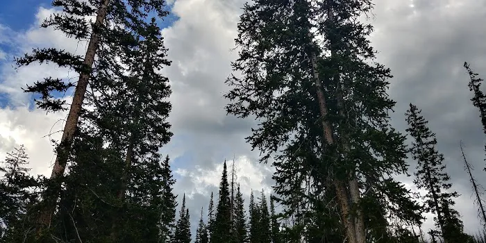 Wolf Creek Campground Picture 10