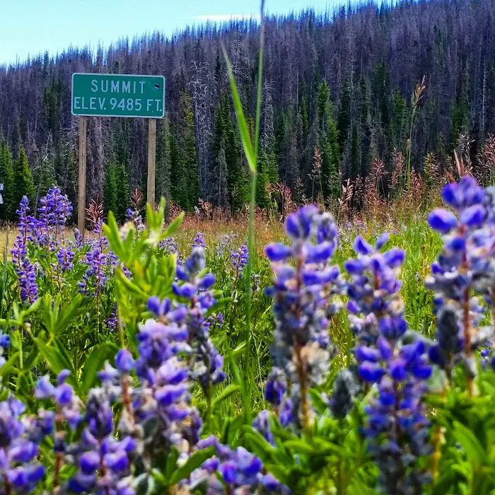 Wolf Creek Campground Picture 5