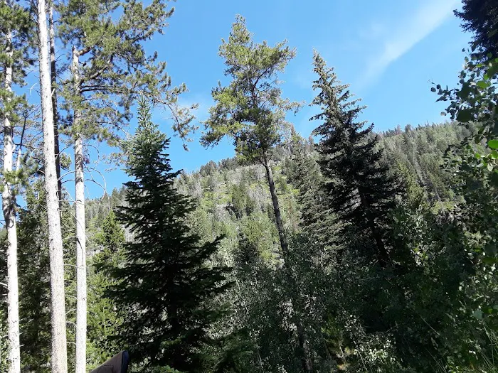 Cobblerest Campground Picture 3