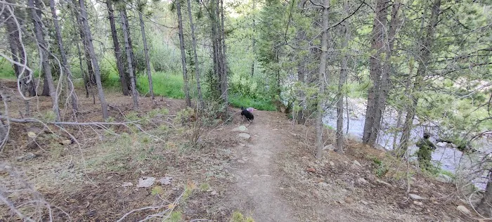 Mill Flat Camping Area Picture 3