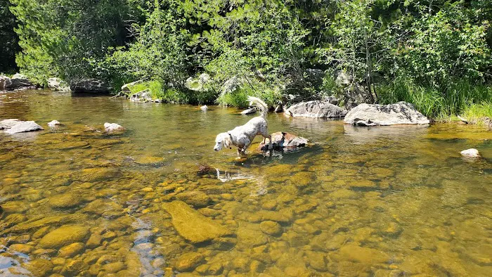 Mill Flat Camping Area Picture 10