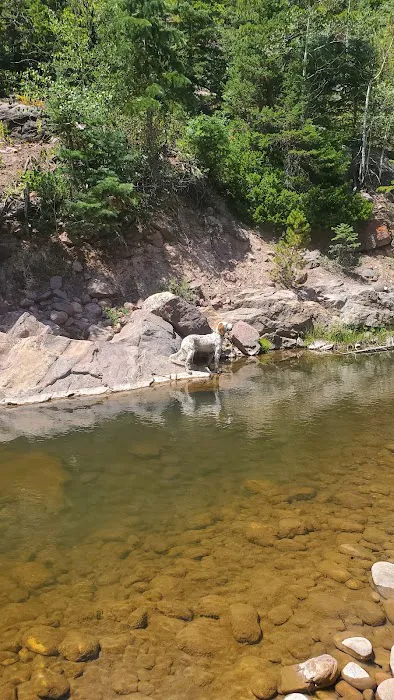 Mill Flat Camping Area Picture 4