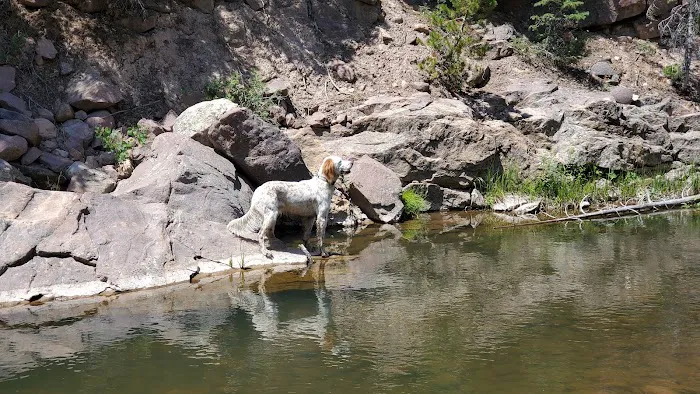 Mill Flat Camping Area Picture 8